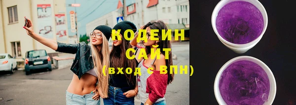 хмурый Горно-Алтайск