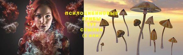 первитин Горнозаводск