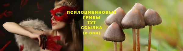 хмурый Горно-Алтайск