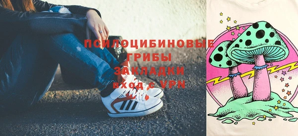 хмурый Горно-Алтайск